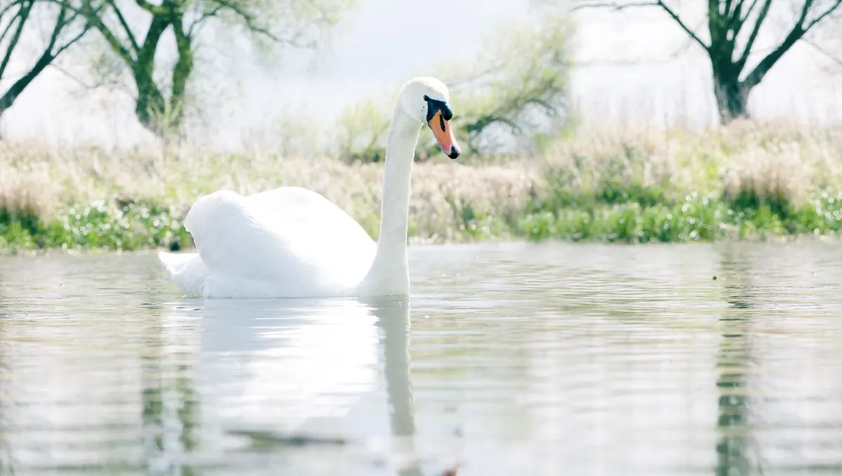 A Seasonal Guide to Wild Swimming Spots in the Lake District